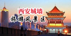 欧美色图操逼性视频中国陕西-西安城墙旅游风景区